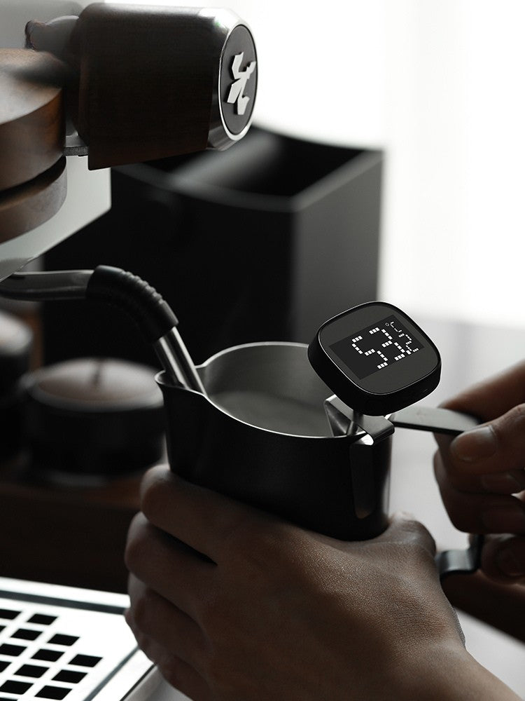 Portable LCD Digital Thermometer - MHW-3Bomber