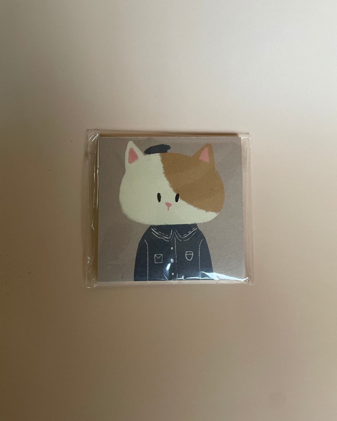 Cute cat sticky notes