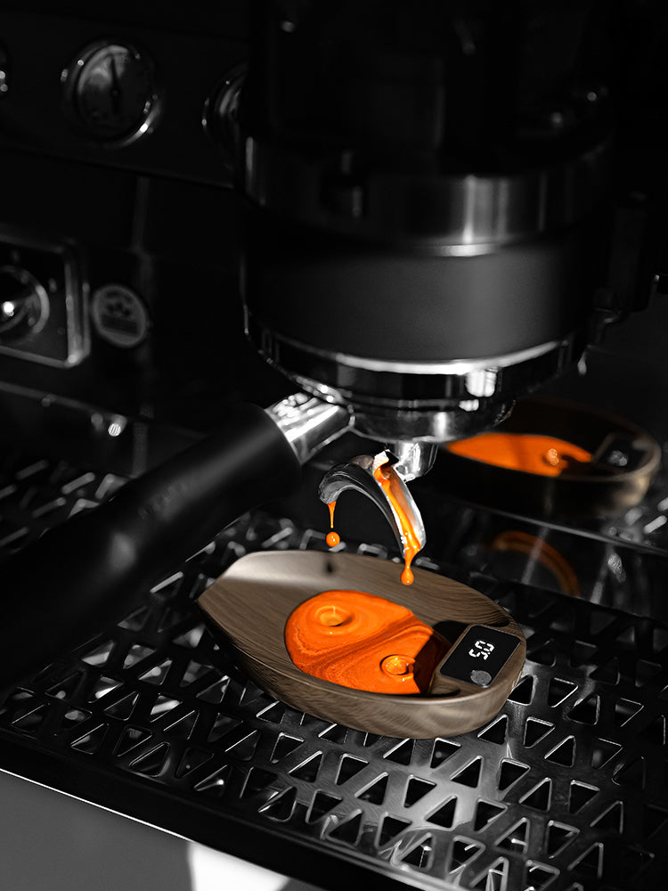 MVE Coffee Scale - MHW-3Bomber