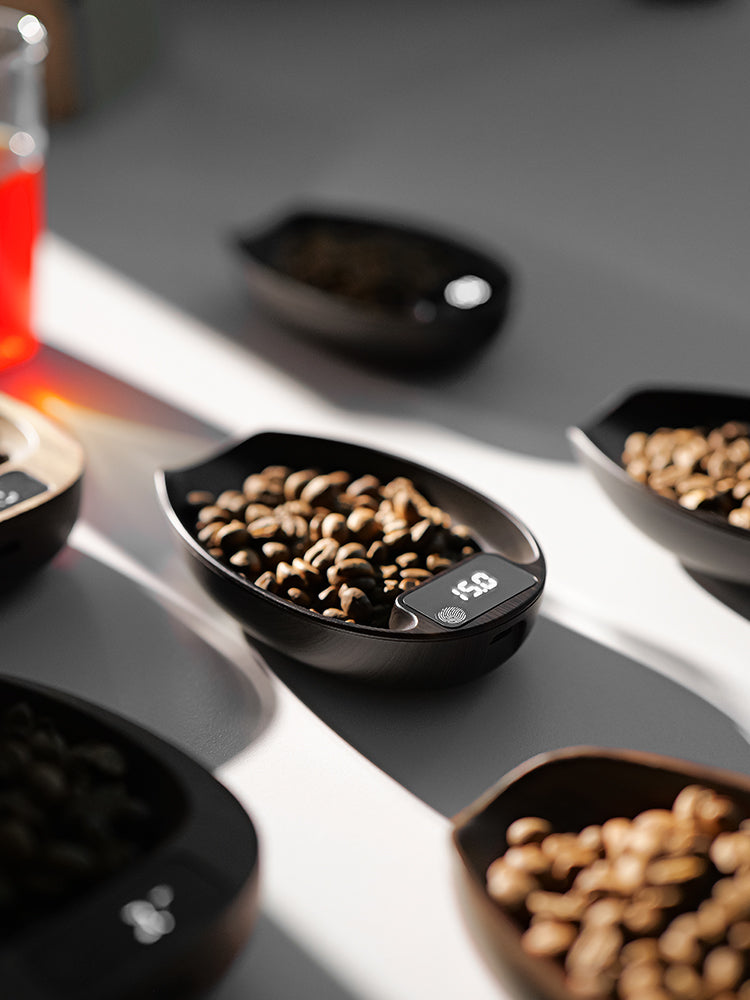 MVE Coffee Scale - MHW-3Bomber