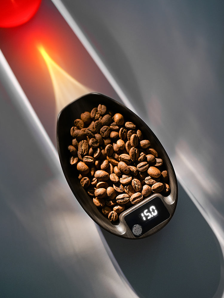 MVE Coffee Scale - MHW-3Bomber