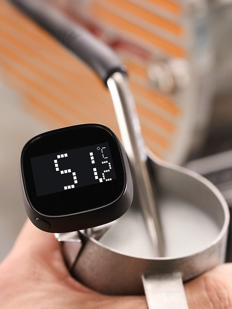 Portable LCD Digital Thermometer - MHW-3Bomber