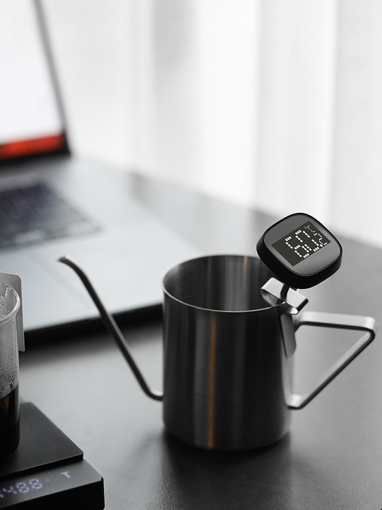 Portable LCD Digital Thermometer - MHW-3Bomber